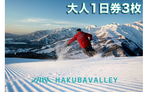 HAKUBA VALLEY 10スキー場共通大人1日券 3枚【J0099-02】 - 長野県白馬