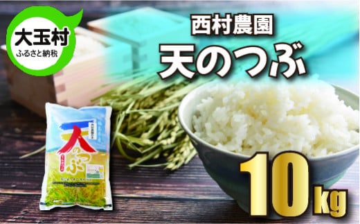 【 令和5年産 】【 西村農園 の お米 】 天のつぶ １０ｋｇ 【09423】 福島県 大玉村 てんのつぶ テンノツブ 米