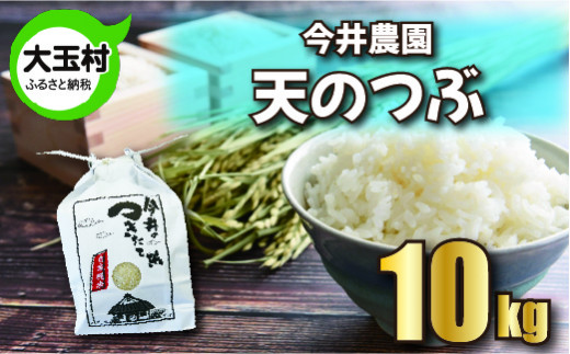 【令和5年産】【今井のつきたて米】 天のつぶ　１０ｋｇ【08423】|今井農園