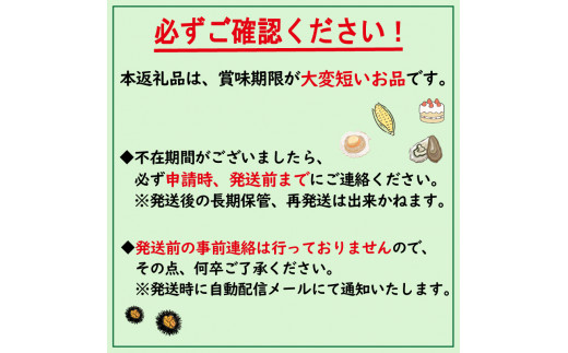 A 484 先行予約 サロマ湖産 塩水うに 100g 23年4月中旬から順次発送 北海道北見市 ふるさとチョイス ふるさと納税サイト