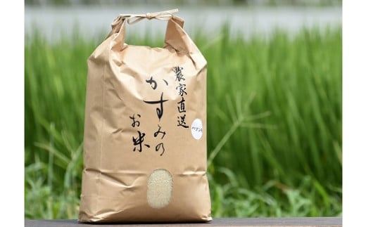 令和6年産米 美濃加茂の お米 定期便(毎月) 4回セット ( 10kg×4回 ) | ハツシモ 春見ライス 米 コメ M61S02