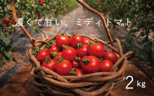 【2024年産予約受付】 フルーツトマト 2kg のんの畑北海道 ミディトマト 526004 - 北海道当麻町