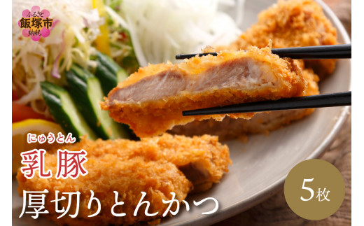 乳豚 厚切りとんかつ5枚[A5-406]お肉 肉 豚カツ 豚肉 豚 惣菜 送料無料 ふるさと納税 とんかつ