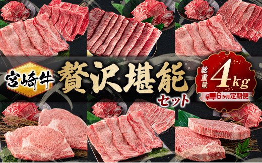 O1-22 ≪6か月お楽しみ定期便≫宮崎牛贅沢堪能セット(総重量4kg)　肉　牛　牛肉　国産
