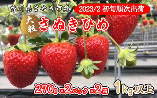 いちご 苺 さぬきひめ 270g×2パック×2箱 【2月以降発送】