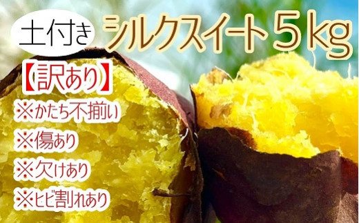 先行予約【訳あり】サツマイモ（シルクスイート）５ｋｇ　農薬化学肥料不使用　（土付き）【R00103】 1504338 - 高知県土佐清水市