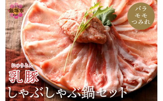 乳豚 しゃぶしゃぶ鍋Ｂセット(バラ・モモ・つみれ)【A5-405】