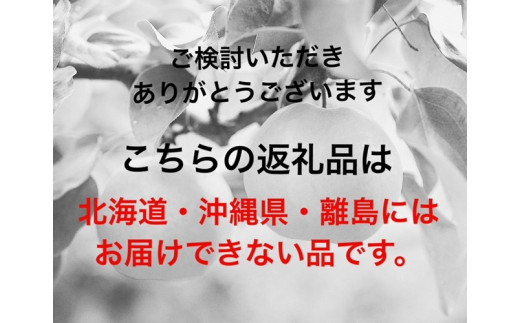 jj-100　【令和６年発送・先行予約】岡山県産　シャインマスカット(700g以上・晴王)１房　化粧箱入り