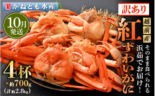 【訳あり】≪浜茹で≫越前産 紅ずわいがに 約700g × 4杯 食べ方しおり付【紅ズワイガニ カニ かに 蟹 姿 ボイル 冷蔵 福井県】【10月発送分】希望日指定不可 [e14-x002_10] 305891 - 福井県越前町