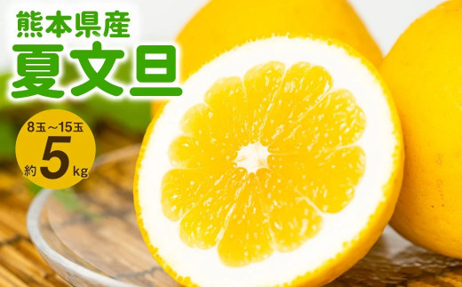 【先行予約】熊本県産 夏文旦 5kg（8玉～15玉）ぶんたん 柑橘
