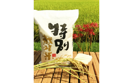 特別栽培米食べ比べセット(ヒノヒカリ、にこまる、森のくまさん）各5kg×3 合計15kg