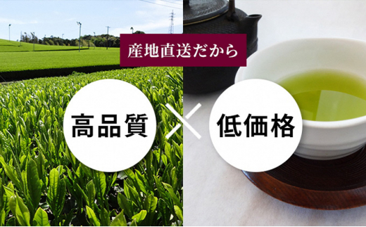 静岡茶 たっぷり 1.2キロ（7種 12袋）逸品 深蒸し茶|共栄製茶農業協同組合