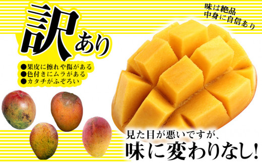 2023年発送】訳あり！沖縄県糸満産 かねよしマンゴーのマンゴー1.5kg