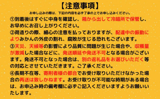 令和5年収穫分 あわ地区 文旦 秀品 10kg AWA011_x