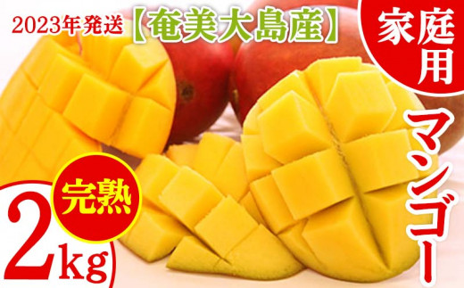 【奄美大島産】完熟マンゴー　家庭用2kg【2023年発送】