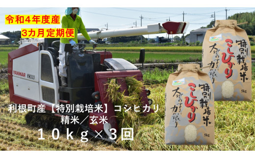【3ヶ月定期便】利根町産【特別栽培米】コシヒカリ　精米／玄米　10kg×3回