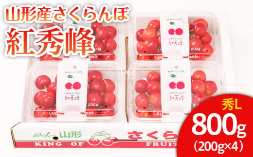 山形市産 さくらんぼ 紅秀峰 L 800g(200g×4) 【令和6年産先行予約】FU22-031 フルーツ くだもの 果物 山形 山形県 山形市 2024年産