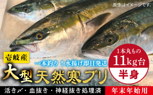 【11/1～1/15お届け 年末年始用】壱岐島産天然寒ブリ（一本丸ものサイズ11キロ台 半身ブロック）《壱岐市》【壱岐島 玄海屋】 [JBS106] 212000 212000円  535021 - 長崎県壱岐市