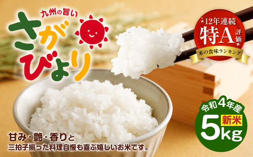 9-21 種商 佐賀県産さがびより 5kg 526250 - 佐賀県鳥栖市