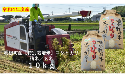 毎日おいしいご飯を！利根町産【特別栽培米】コシヒカリ　10kg