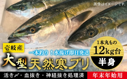 【11/1～1/15お届け 年末年始用】壱岐島産天然寒ブリ（一本丸ものサイズ12キロ台 半身ブロック）《壱岐市》【壱岐島 玄海屋】 [JBS107] 222000 222000円  535022 - 長崎県壱岐市