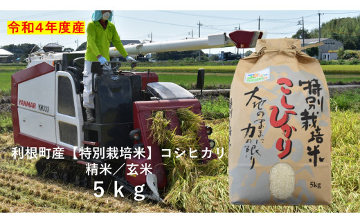 毎日おいしいご飯を！利根町産【特別栽培米】コシヒカリ　精米／玄米　5kg