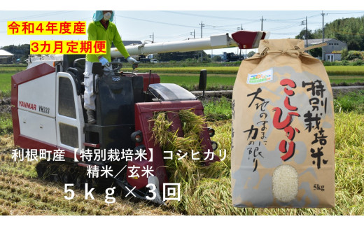 【3ヶ月定期便】利根町産【特別栽培米】コシヒカリ　精米／玄米　5kg×3回