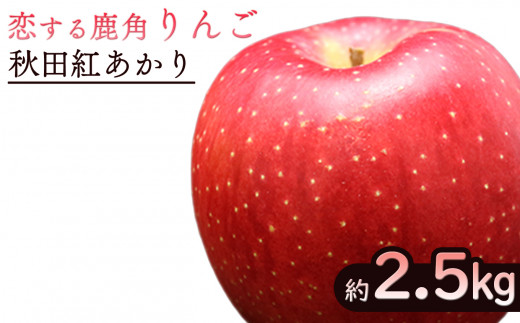 《先行予約》令和6年産 秋田県鹿角産りんご「秋田紅あかり」 約2.5kg【恋する鹿角カンパニー】●2024年11月中旬発送開始　かづのりんご 食感  果汁 さっぱり リンゴ 完熟 旬 県産りんご 林檎 お中元 お歳暮 贈り物 お見舞い グルメ ギフト 故郷 秋田 あきた 鹿角市 鹿角