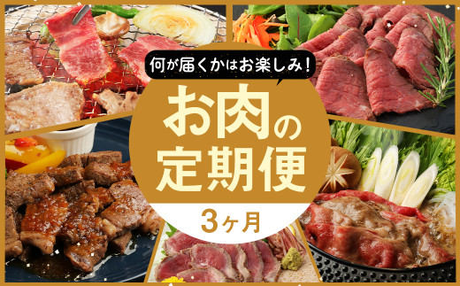 お肉の定期便 (3回お届け) 1回あたり500g 博多和牛 牛肉 冷凍