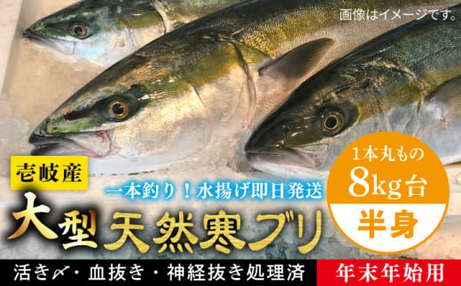 [11/1〜1/15お届け 年末年始用]壱岐島産天然寒ブリ(一本丸ものサイズ8キロ台 半身ブロック)[壱岐市][壱岐島 玄海屋] [JBS103] 117000 117000円