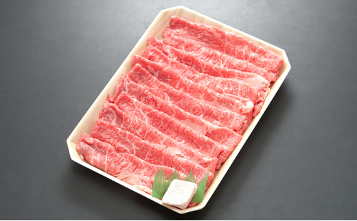 3ヶ月定期便　飛騨牛モモまたはカタ 500g（すき焼き・しゃぶしゃぶ用）全3回　計1.5kg [№5215-0223]