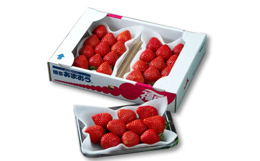 福岡産【春】あまおう3パック いちご フルーツ デザート