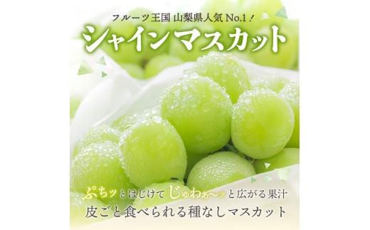 【2023年発送分・先行予約】山梨県産シャインマスカット3kg - 山梨