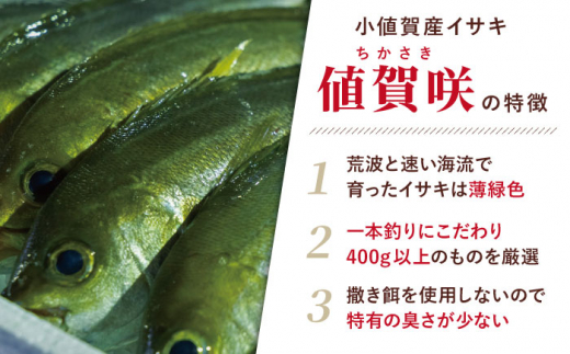 【全2回定期便】【高級魚】 ブランドイサキ 値賀咲（ちかさき）の棒寿司 約250g×2本（特製醤油付き）《古民家レストラン 敬承 藤松》【小値賀町】  [DAK012] いさき 寿司 お寿司 棒寿司 海鮮 鮮魚 押し寿司 贅沢 ギフト お祝い 32000 32000円|M.Yフード合同会社