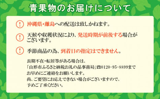 ☆フルーツ王国山形☆和梨(あきづき) 秀品 3kg 【令和6年産先行予約