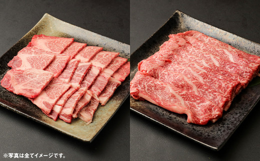 お肉の定期便 (12回お届け) 1回あたり500g 博多和牛 牛肉 冷凍
