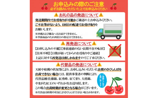 定期便5回】山形じまんのフルーツ三昧定期便＊前半 【令和6年産先行