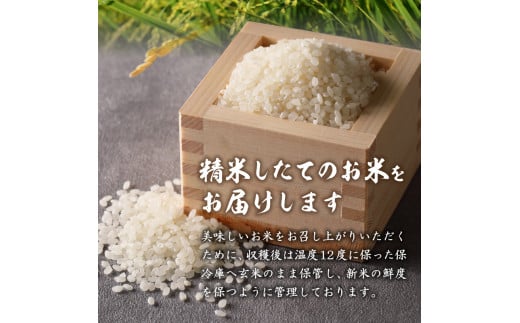 ふるさと納税 【定期便】令和5年産米 三重県産コシヒカリ10kg×3ヶ月