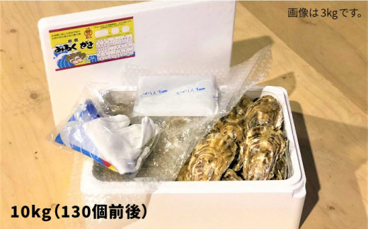 みるくがき 10kg ( 130個 前後 ) 生食可 殻付き 活牡蠣 《糸島》【豊久