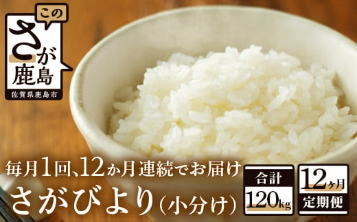 V-28【新鮮米】鹿島市産さがびより１０kg×１２か月定期便【１等米】