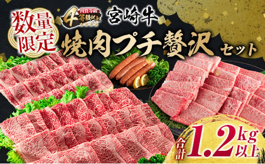 E36-22 ≪数量限定≫宮崎牛焼肉プチ贅沢セット(合計1.2kg以上)　肉　牛　牛肉　国産
