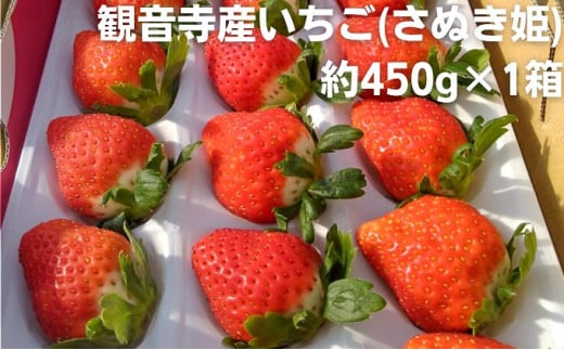 数量限定　観音寺産いちご(さぬき姫)約450g×1箱 讃岐の美味しい苺