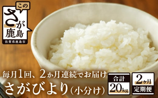 E-91【新鮮米】鹿島市産さがびより１０kg×２か月定期便【１等米】