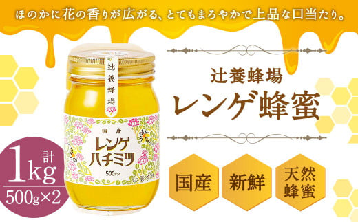 辻養蜂場 レンゲ蜂蜜 500g×2本 計1kg はちみつ 422018 - 福岡県嘉麻市