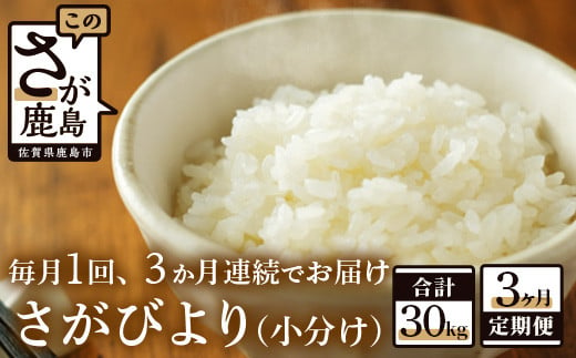 G-42【新鮮米】鹿島市産さがびより１０kg×３か月定期便【１等米】