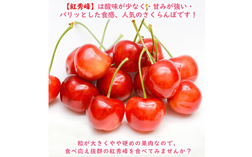 令和5年度産先行受付》 ※数量・期間限定※ 山形県産さくらんぼ 紅秀峰