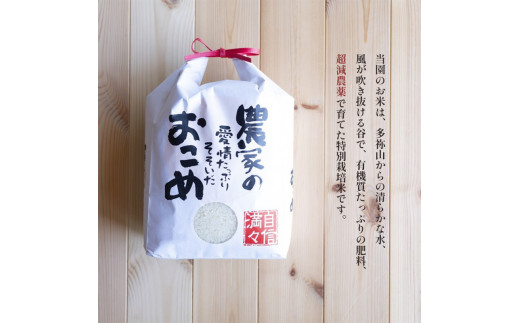 新米 白米 コシヒカリ 5kg 5キロ 特別 栽培米 令和 5年産 お米