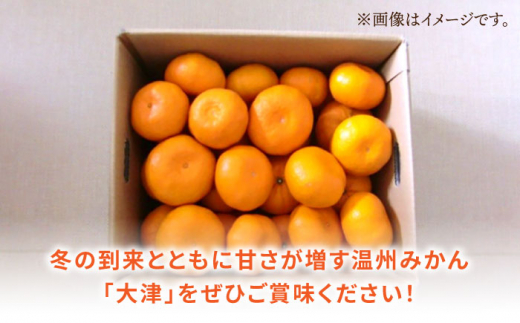 長崎県川棚町のふるさと納税 【先行予約】長崎県産 温州みかん 大津 9kg 【Mt.Gファーム】[OCX002] / 蜜柑 ミカン かんきつ 大津みかん 柑橘類 長崎産柑橘 さっぱりみかん うんしゅうみかん 高糖度温州みかん フルーツ 果物