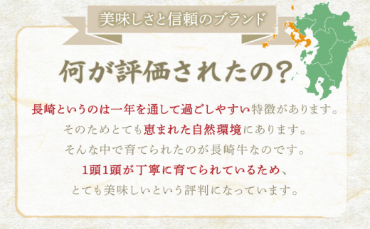 12回定期便】長崎和牛 A5 ランク 相当 レモンステーキ 2人前 計300g