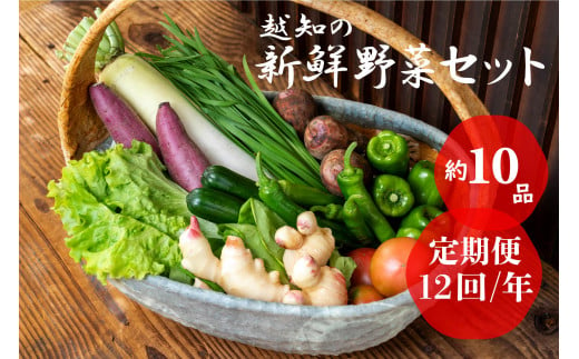 越知産市の季節の野菜セット(年12回発送) 420374 - 高知県越知町